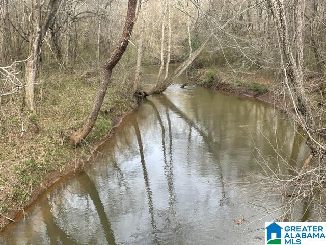 0 County Road 158, Unit 1 Lafayette, AL 36862 - Photo 18 of 19
