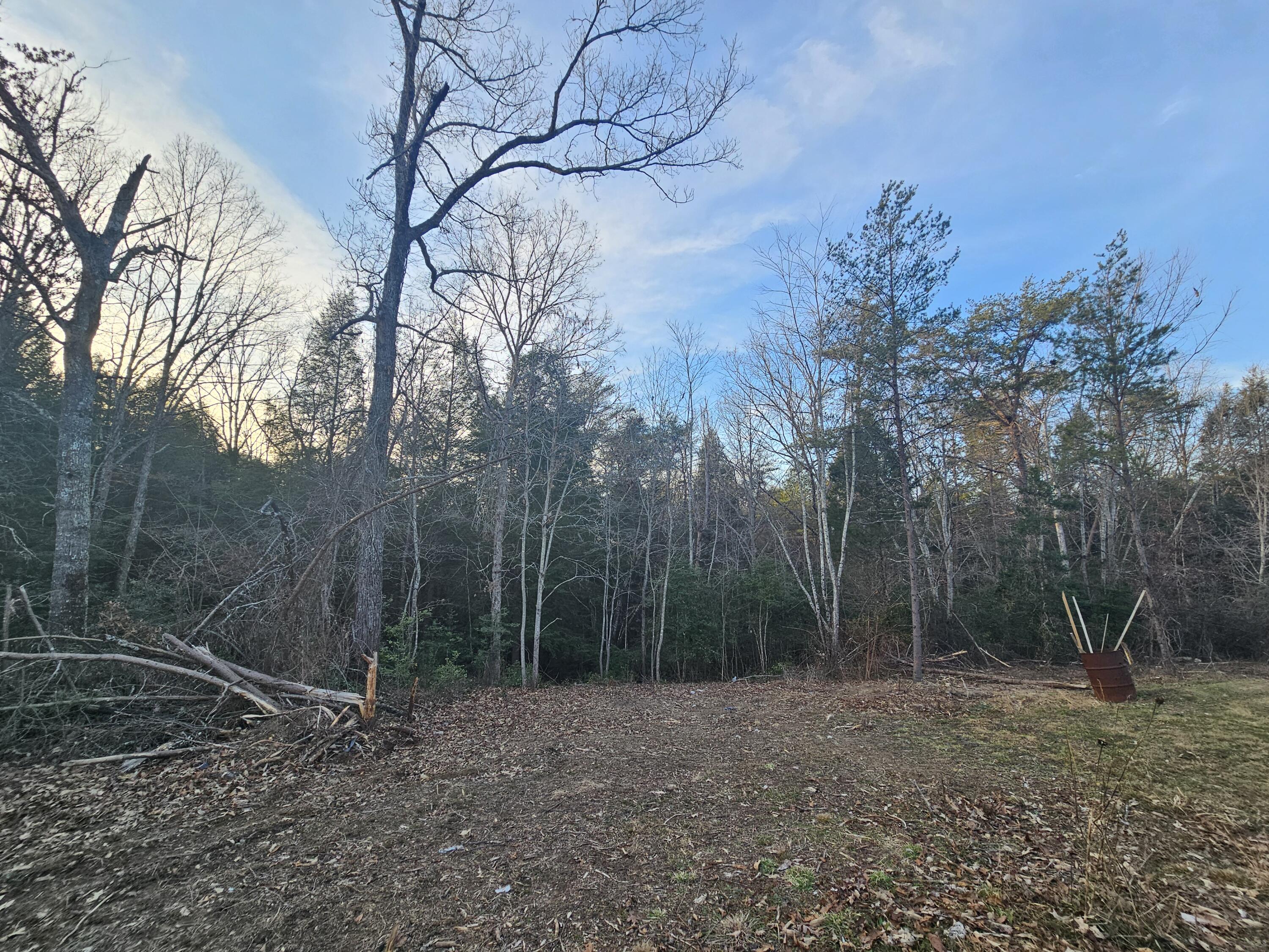 100 Clendenon Road Spencer, TN 38585 - Photo 6 of 37 1000020505