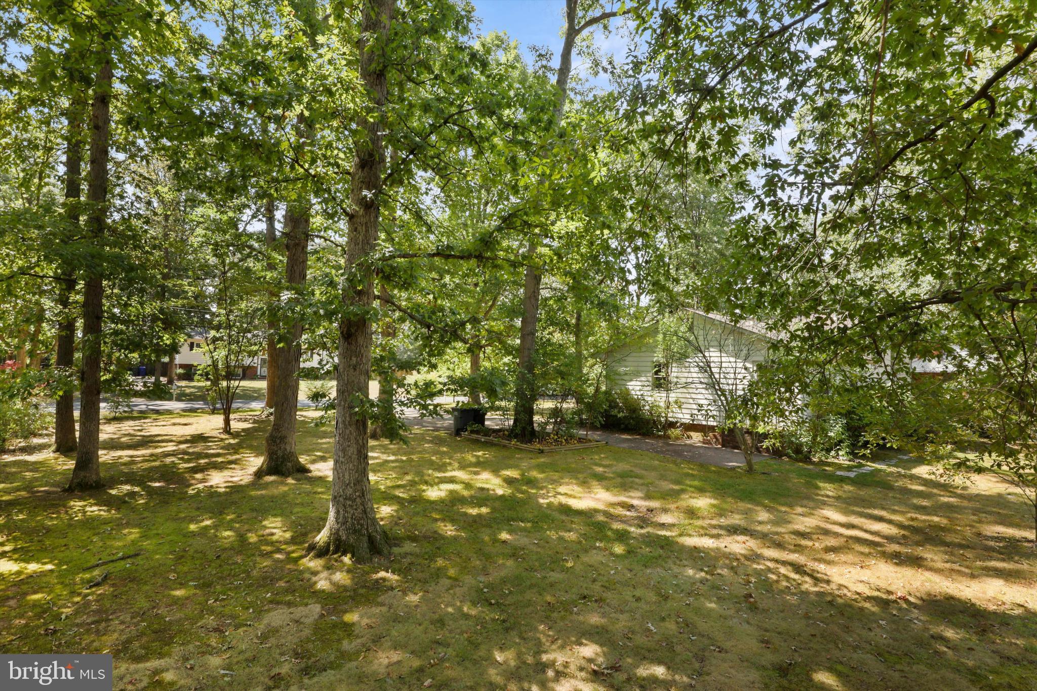 7212 Wesley Road Springfield, VA 22150 - Photo 36 of 46 Lovely Shaded Setting