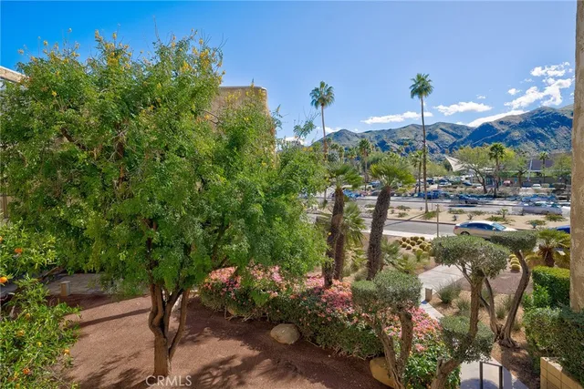 a view of a yard with plants