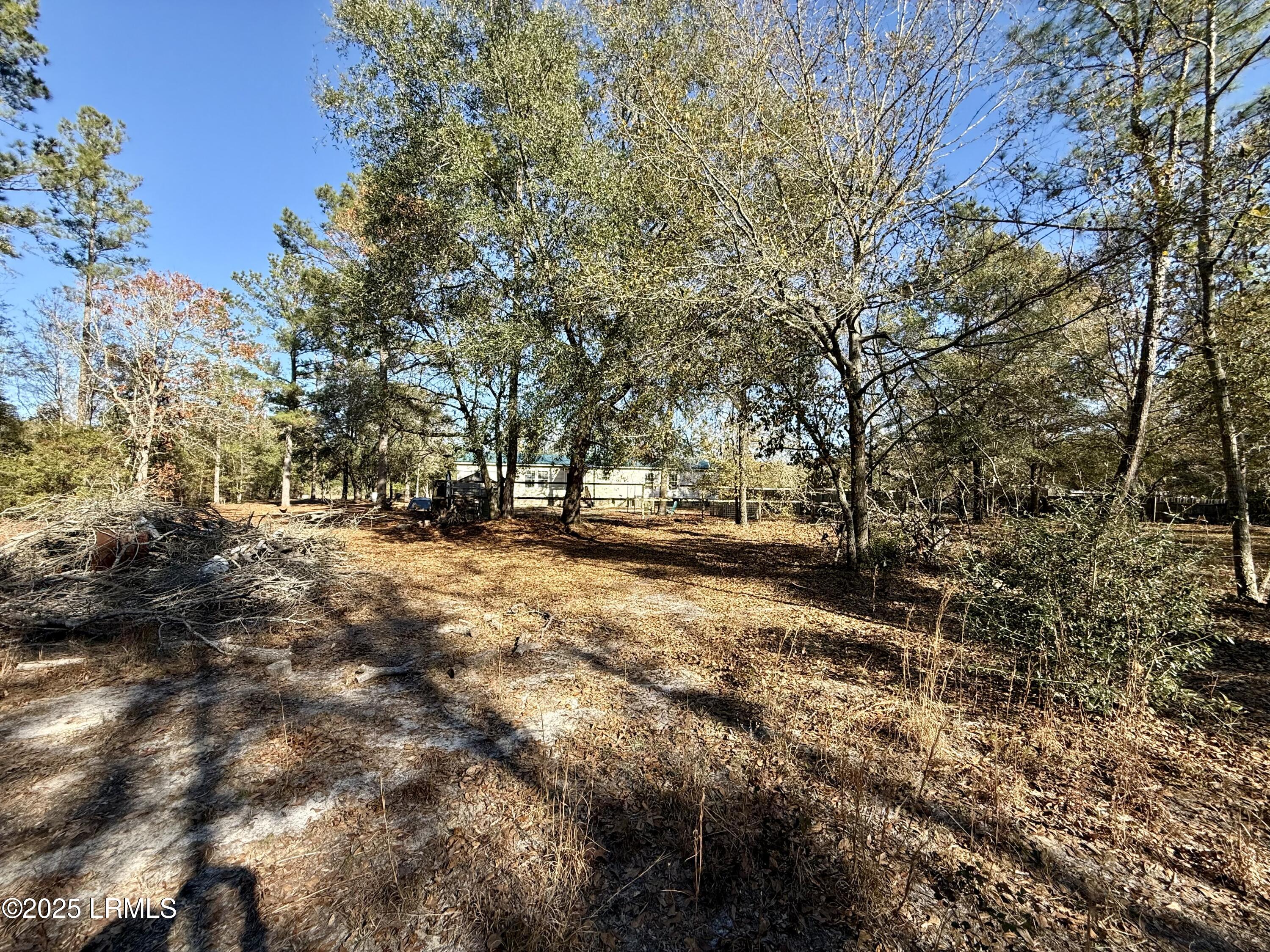 103 Beavers Road Ridgeland, SC 29936 - Photo 3 of 21 IMG_4938