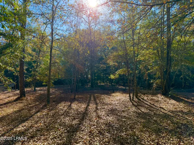 $250,000 | 103 Beavers Road, Ridgeland, SC 29936