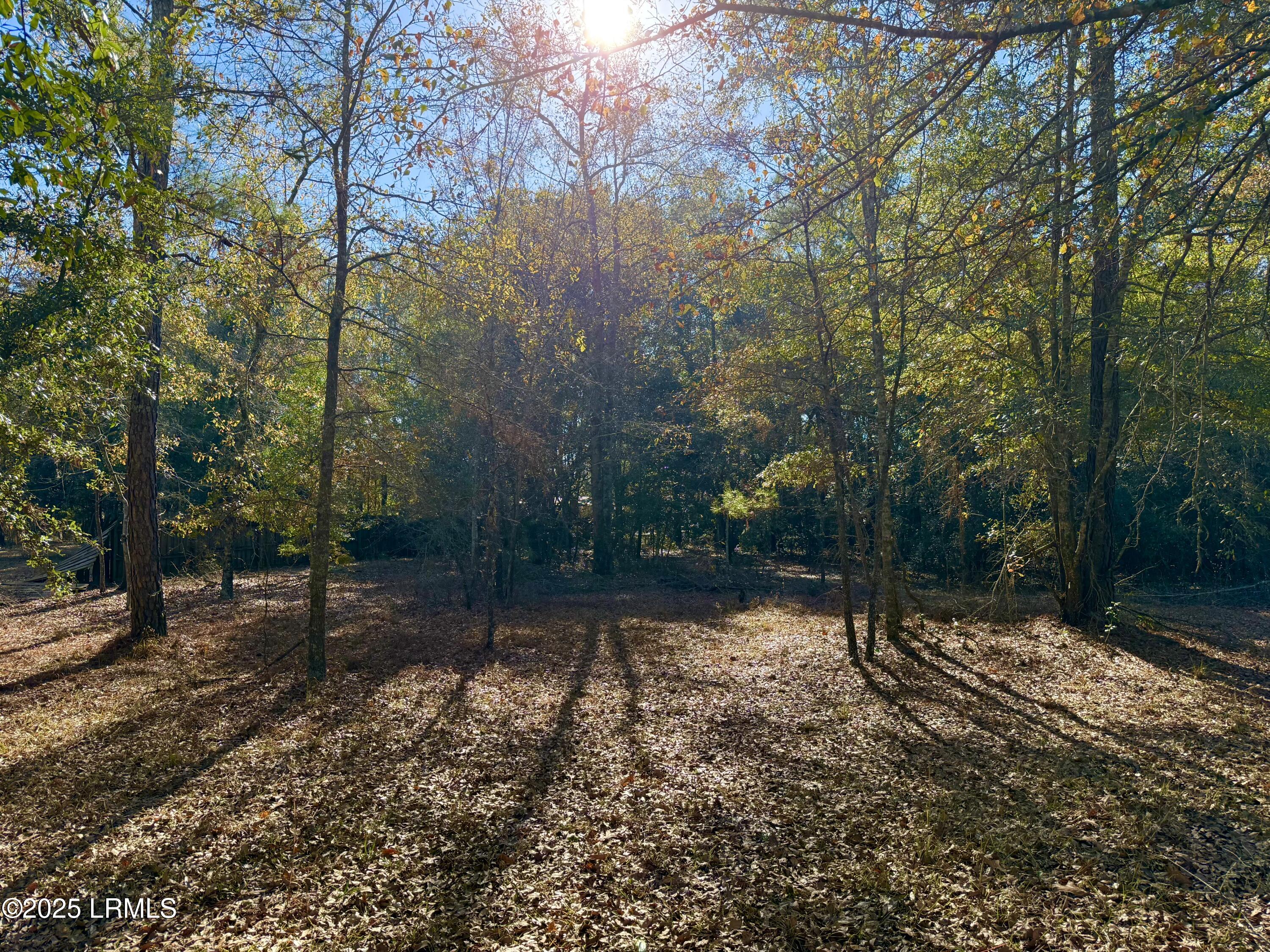 103 Beavers Road Ridgeland, SC 29936 - Photo 5 of 21 IMG_4942