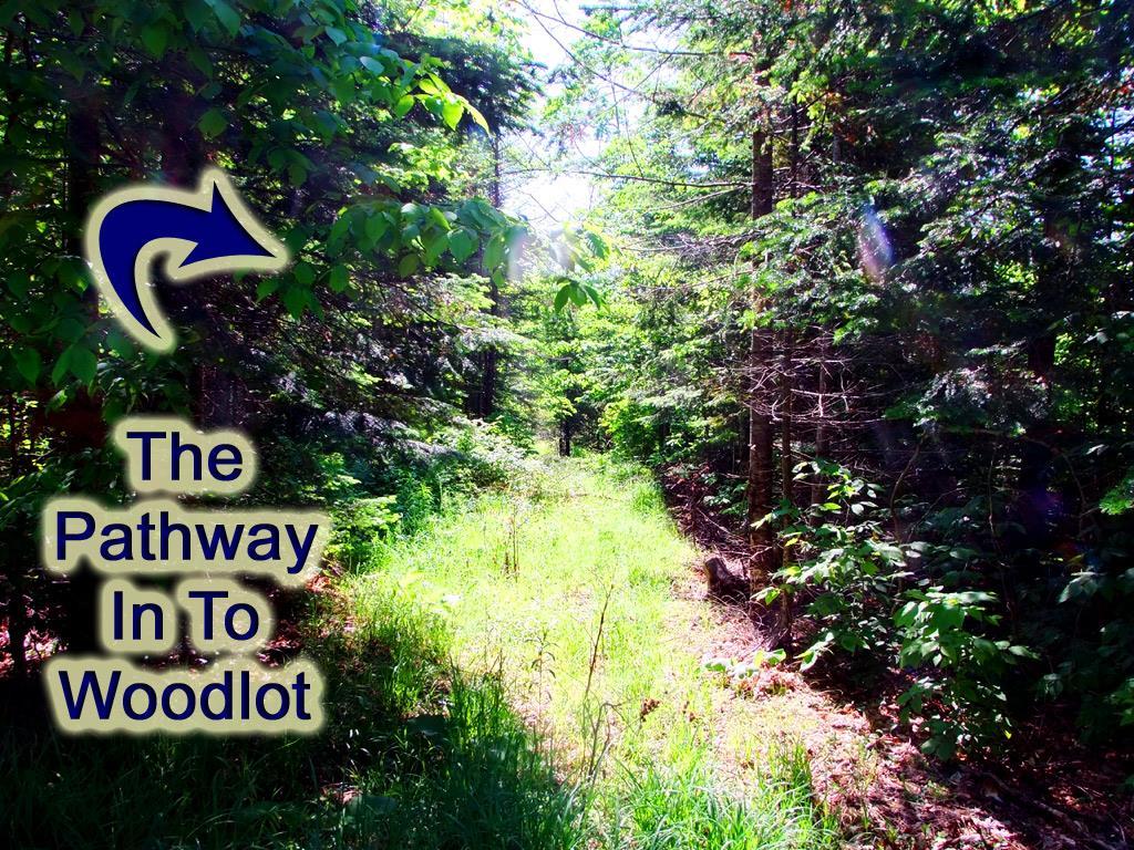 Lot 10 Emery Road Houlton, ME 04730 - Photo 24 of 30 Photo