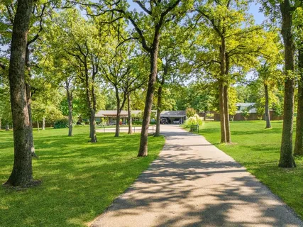 a park with large trees