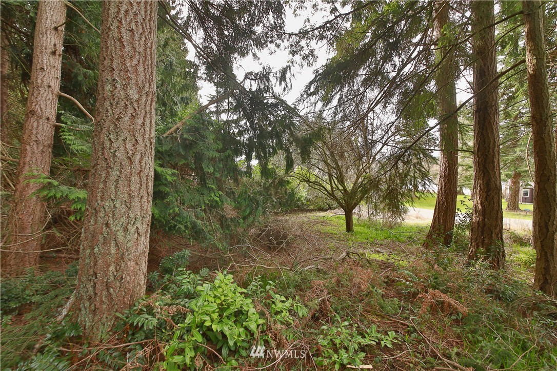6 South Apollo Road Langley, WA 98260 - Photo 1 of 16 Gallery Image 1