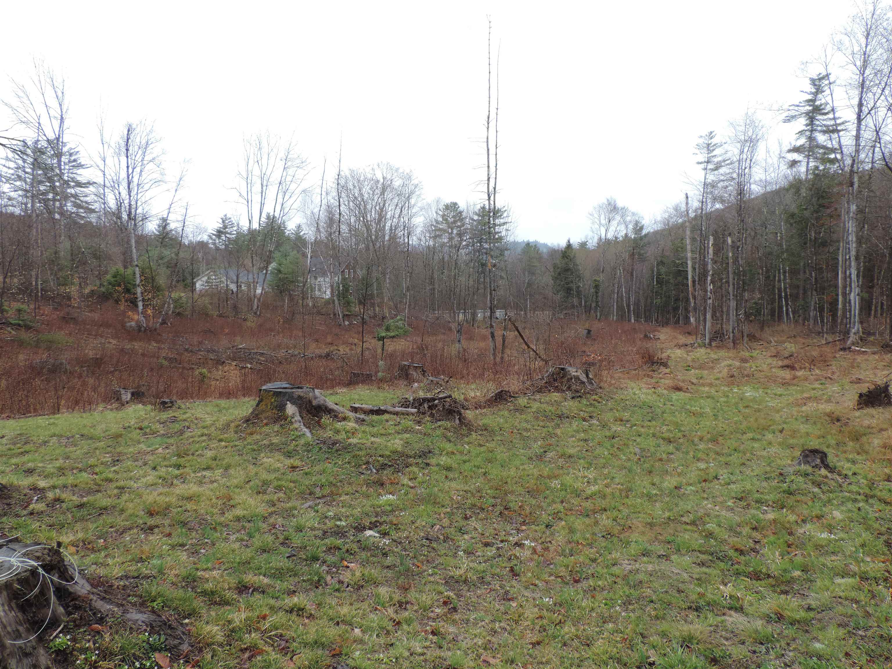59 Frescoln Road Wentworth, NH 03282 - Photo 13 of 23