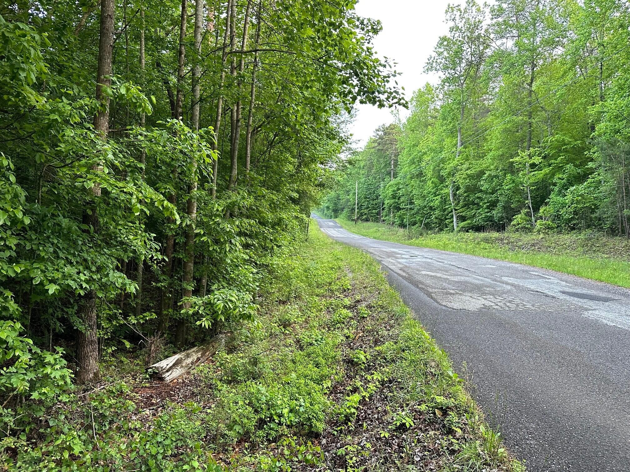34 Jackson Point Road Sewanee, TN 37375 - Photo 7 of 8 Gallery Image 7