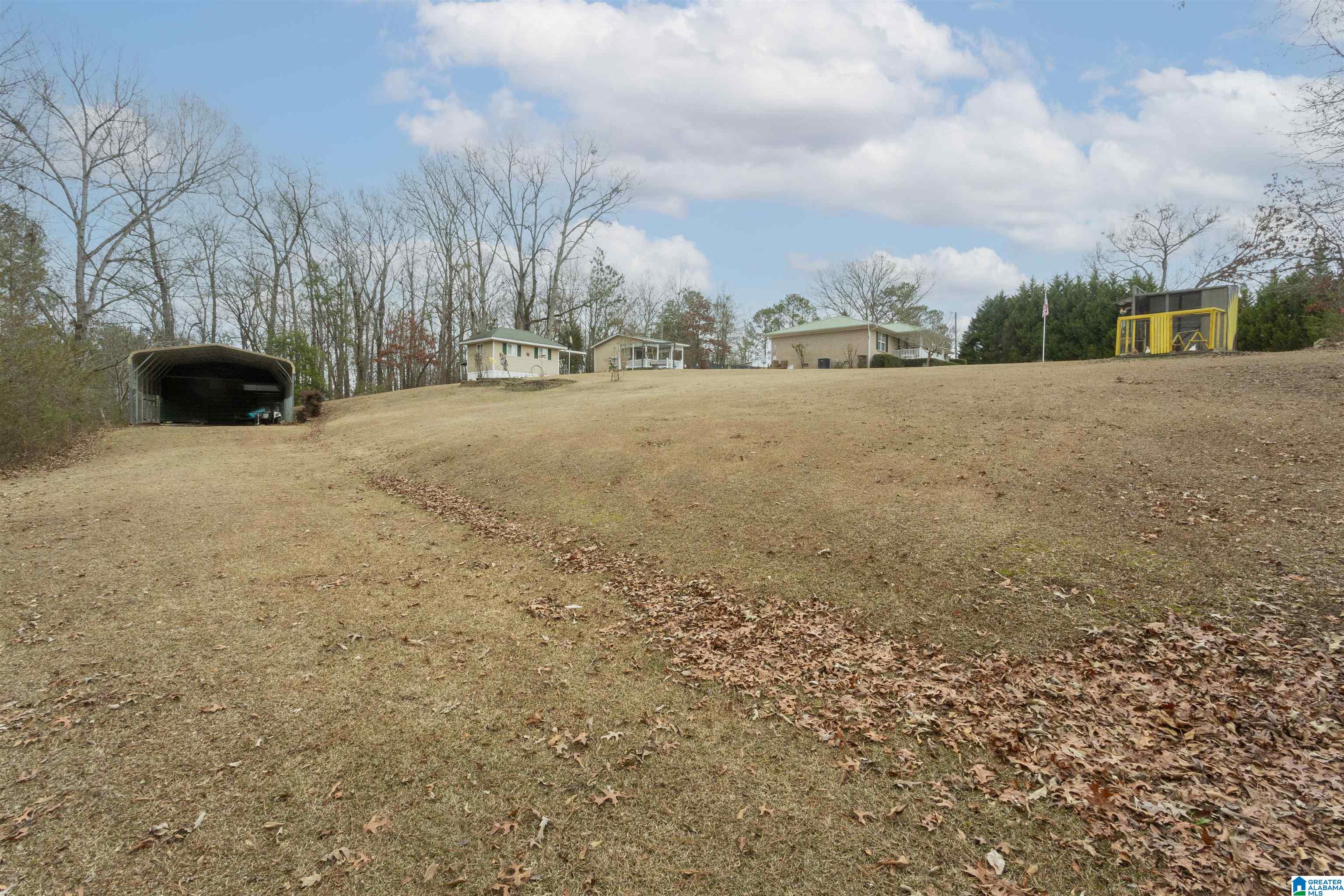 281 Perry Road Vincent, AL 35178 - Photo 58 of 62