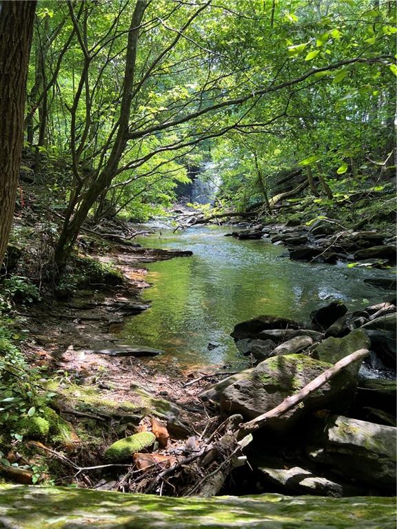 1225 Oglethorpe Road Jasper, GA 30143 - Photo 12 of 37