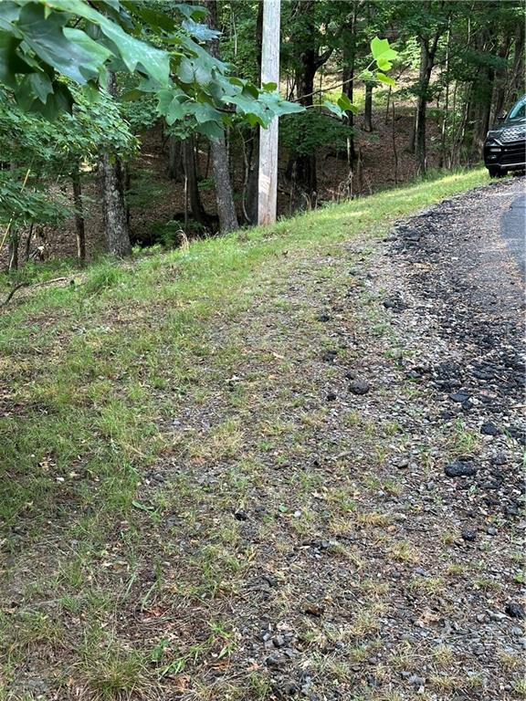 1225 Oglethorpe Road Jasper, GA 30143 - Photo 14 of 37