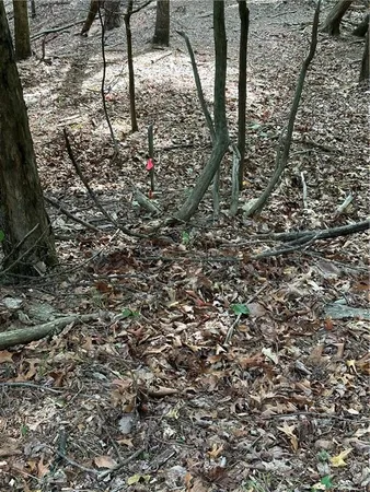 $49,900 | 1225 Oglethorpe Road, Jasper, GA 30143