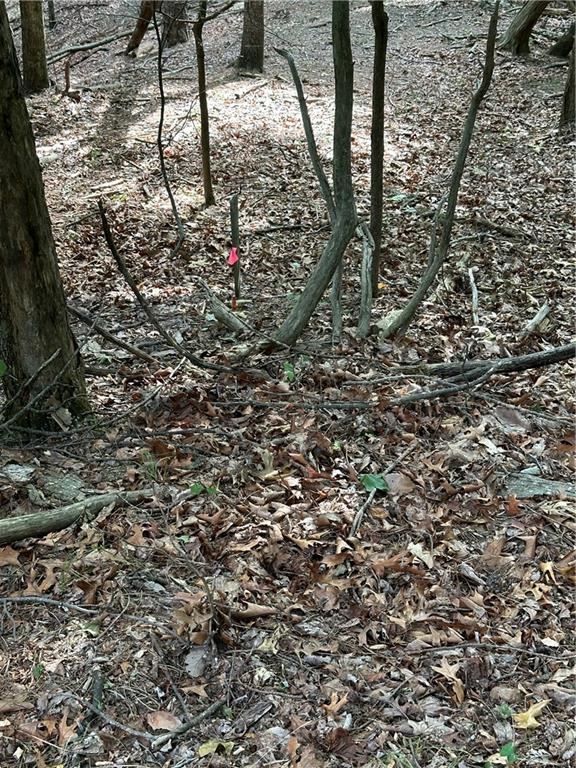 1225 Oglethorpe Road Jasper, GA 30143 - Photo 15 of 37