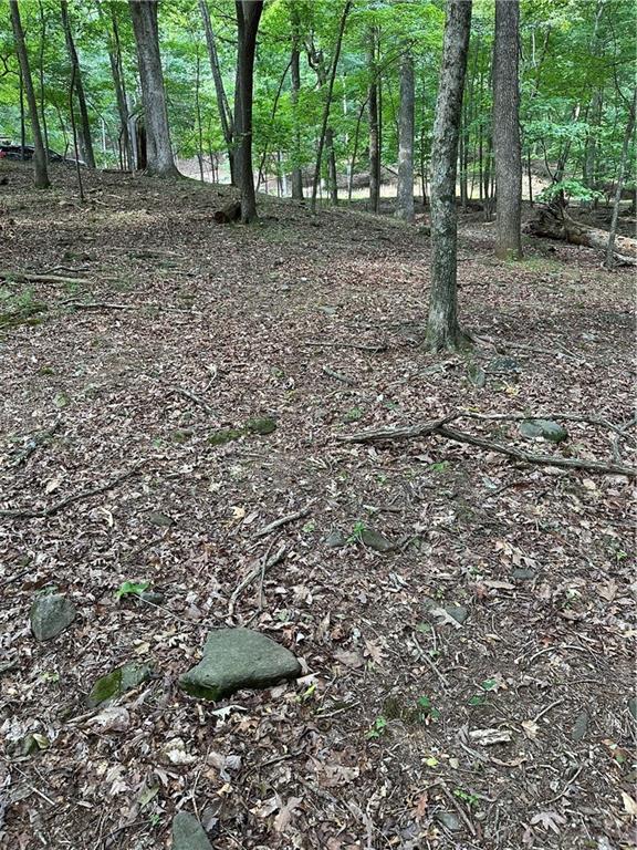 1225 Oglethorpe Road Jasper, GA 30143 - Photo 18 of 37