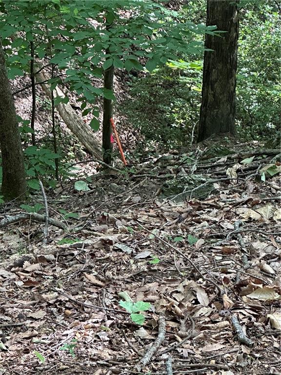 1225 Oglethorpe Road Jasper, GA 30143 - Photo 24 of 37