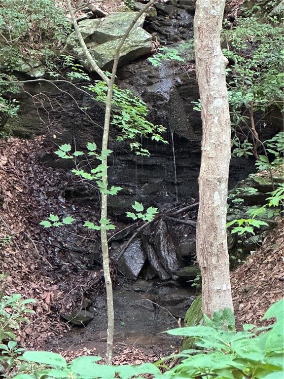 1225 Oglethorpe Road Jasper, GA 30143 - Photo 25 of 37