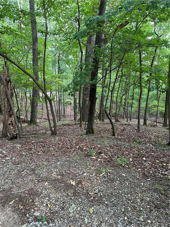 1225 Oglethorpe Road Jasper, GA 30143 - Photo 29 of 37