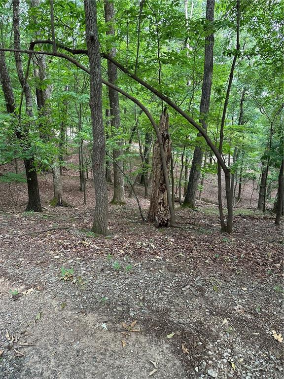 1225 Oglethorpe Road Jasper, GA 30143 - Photo 30 of 37