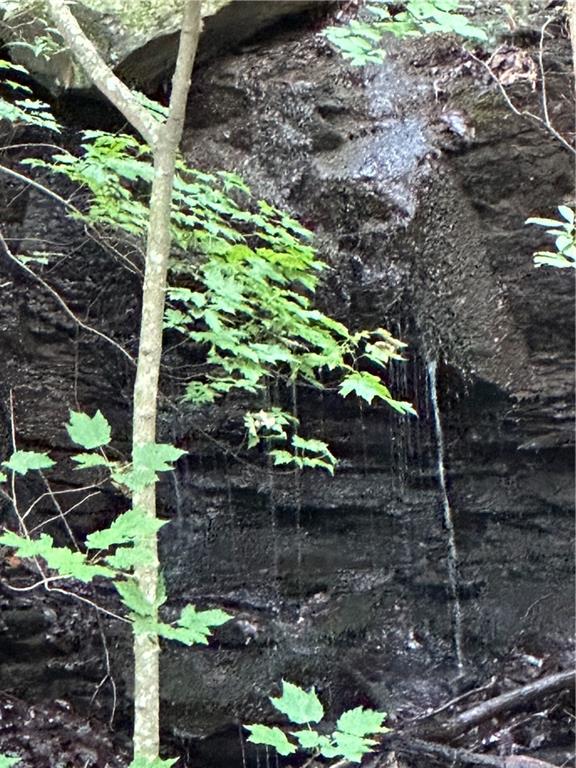 1225 Oglethorpe Road Jasper, GA 30143 - Photo 3 of 37