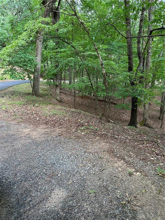 1225 Oglethorpe Road Jasper, GA 30143 - Photo 31 of 37