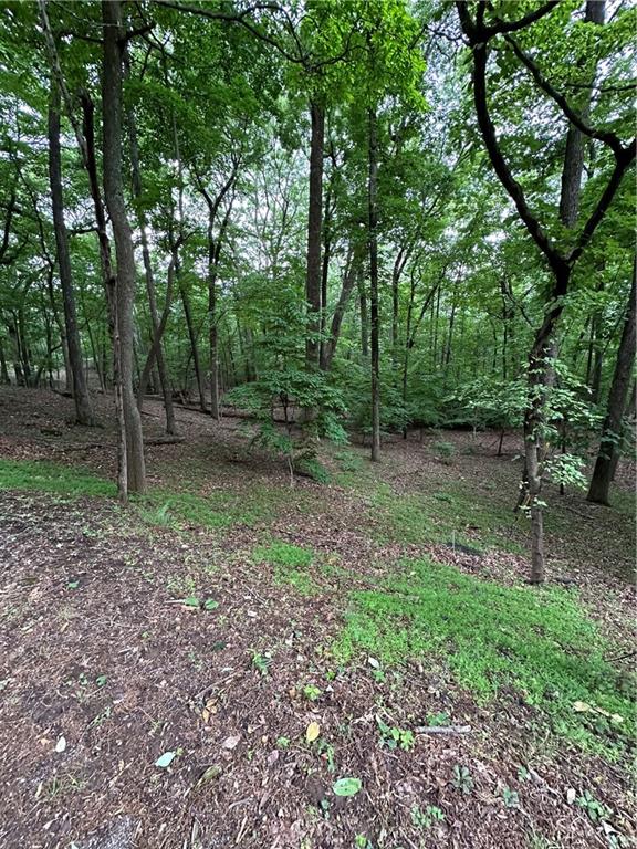 1225 Oglethorpe Road Jasper, GA 30143 - Photo 32 of 37