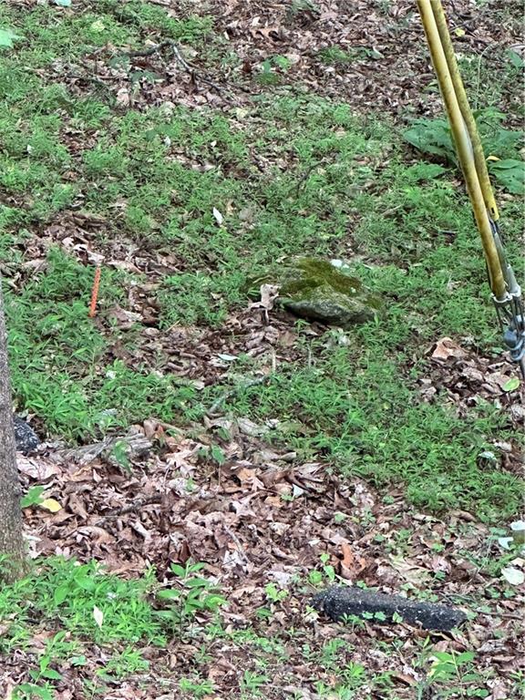 1225 Oglethorpe Road Jasper, GA 30143 - Photo 34 of 37