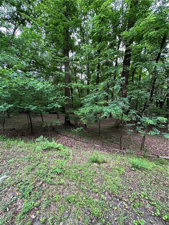 1225 Oglethorpe Road Jasper, GA 30143 - Photo 36 of 37