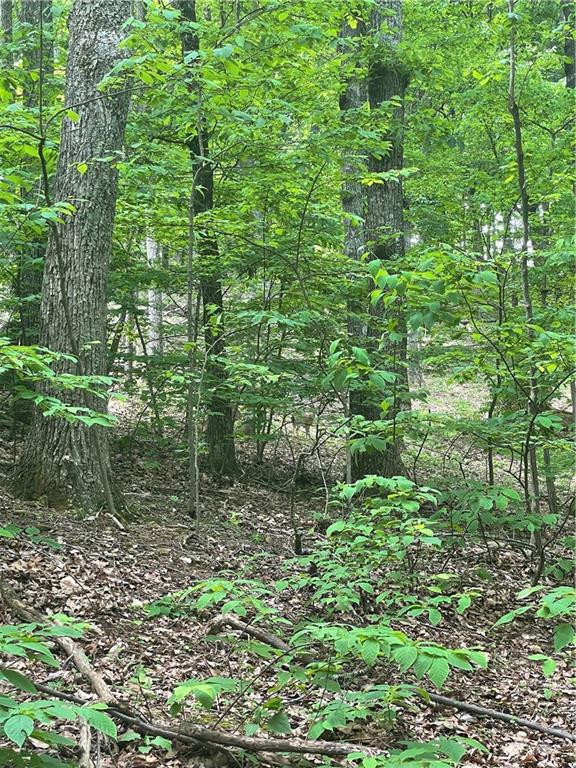 1225 Oglethorpe Road Jasper, GA 30143 - Photo 5 of 37