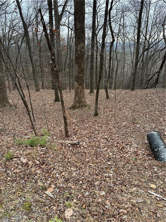 1225 Oglethorpe Road Jasper, GA 30143 - Photo 6 of 37