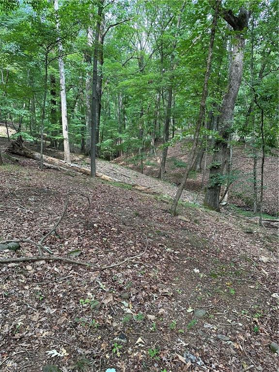 1225 Oglethorpe Road Jasper, GA 30143 - Photo 7 of 37