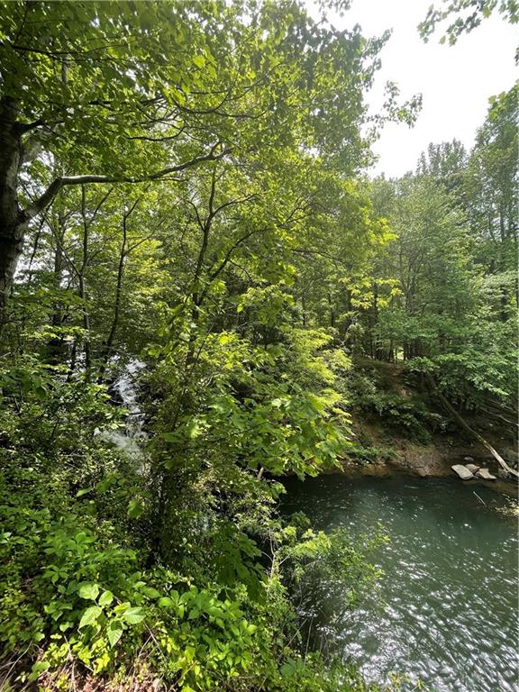 1225 Oglethorpe Road Jasper, GA 30143 - Photo 8 of 37