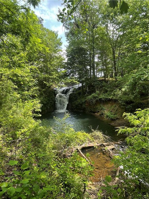 1225 Oglethorpe Road Jasper, GA 30143 - Photo 9 of 37