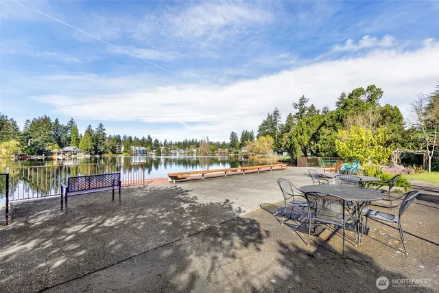 a view of a garden with a bench in the park