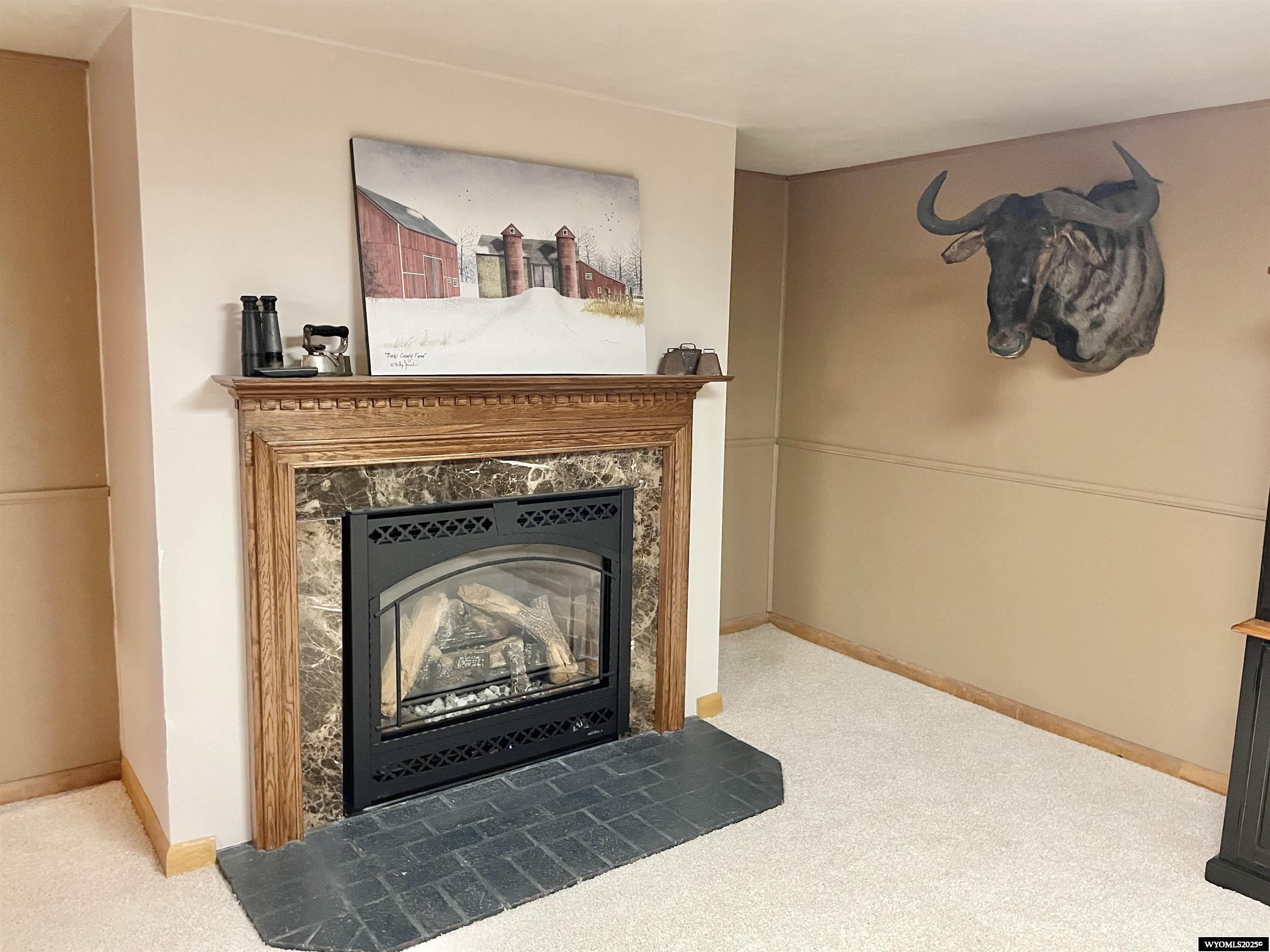 822 Moose Street Kemmerer, WY 83101 - Photo 35 of 50