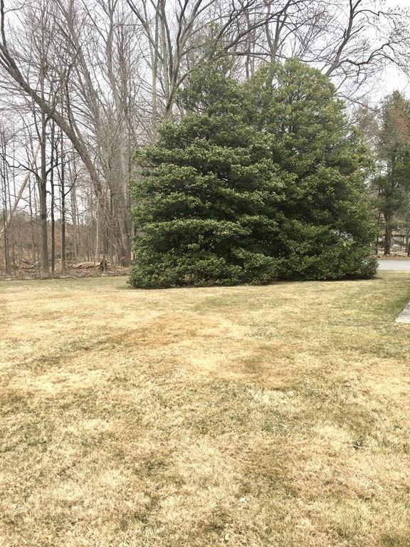 9 Wolcott Road Shrewsbury, MA 01545 - Photo 35 of 35 Gallery Image 35