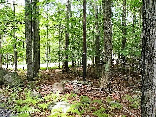 125 Fawn Road Pocono Lake, PA 18347 - Photo 11 of 11 Lot View 2
