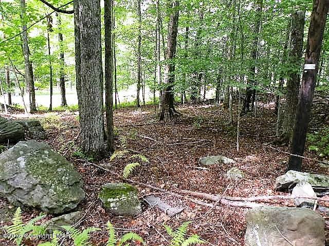 125 Fawn Road Pocono Lake, PA 18347 - Photo 10 of 11 Lot View 1