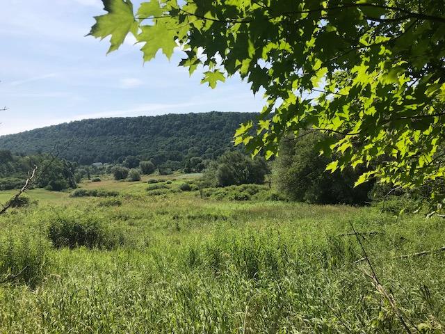 0 Henry Edwards Road Franklin, NY 13775 - Photo 1 of 1 Gallery Image 1