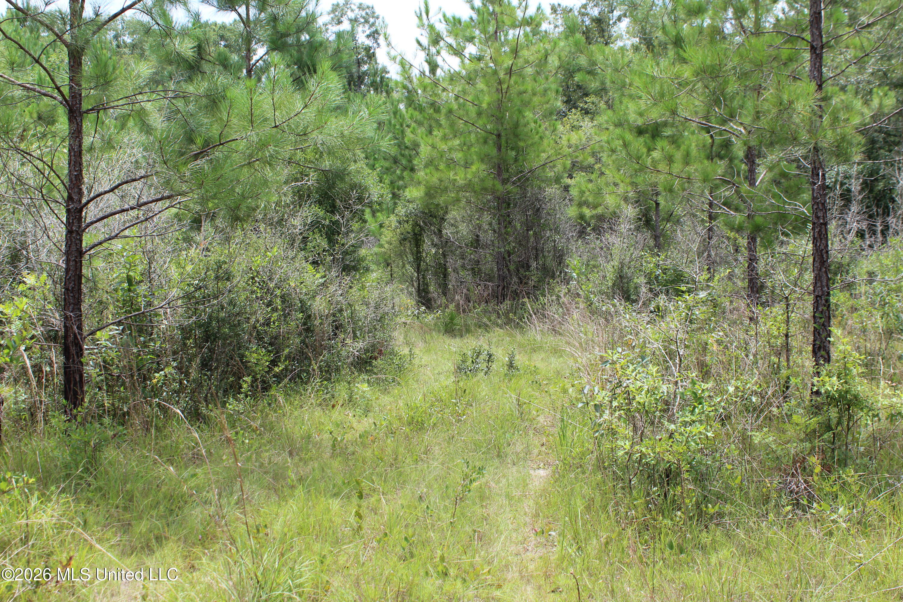 Agricola Latonia Road Lucedale, MS 39452 - Photo 25 of 27 IMG_7252