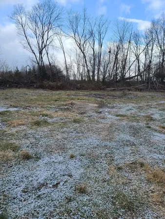 a view of dirt field with trees