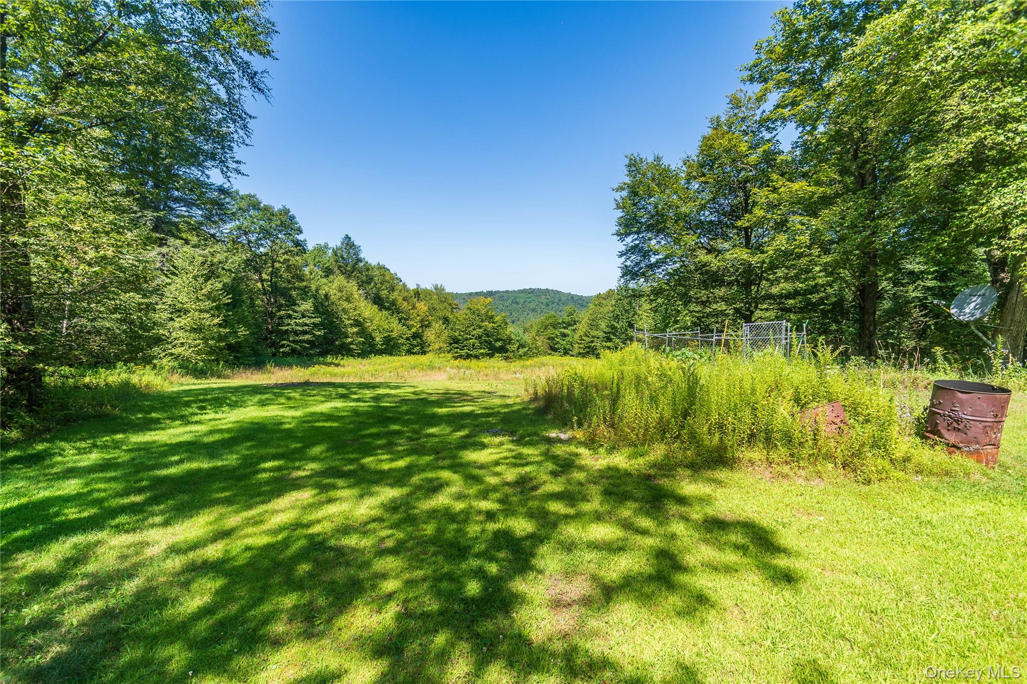 885 Grandview Road Hancock, NY 13783 - Photo 47 of 49 a view of a garden with an outdoor space