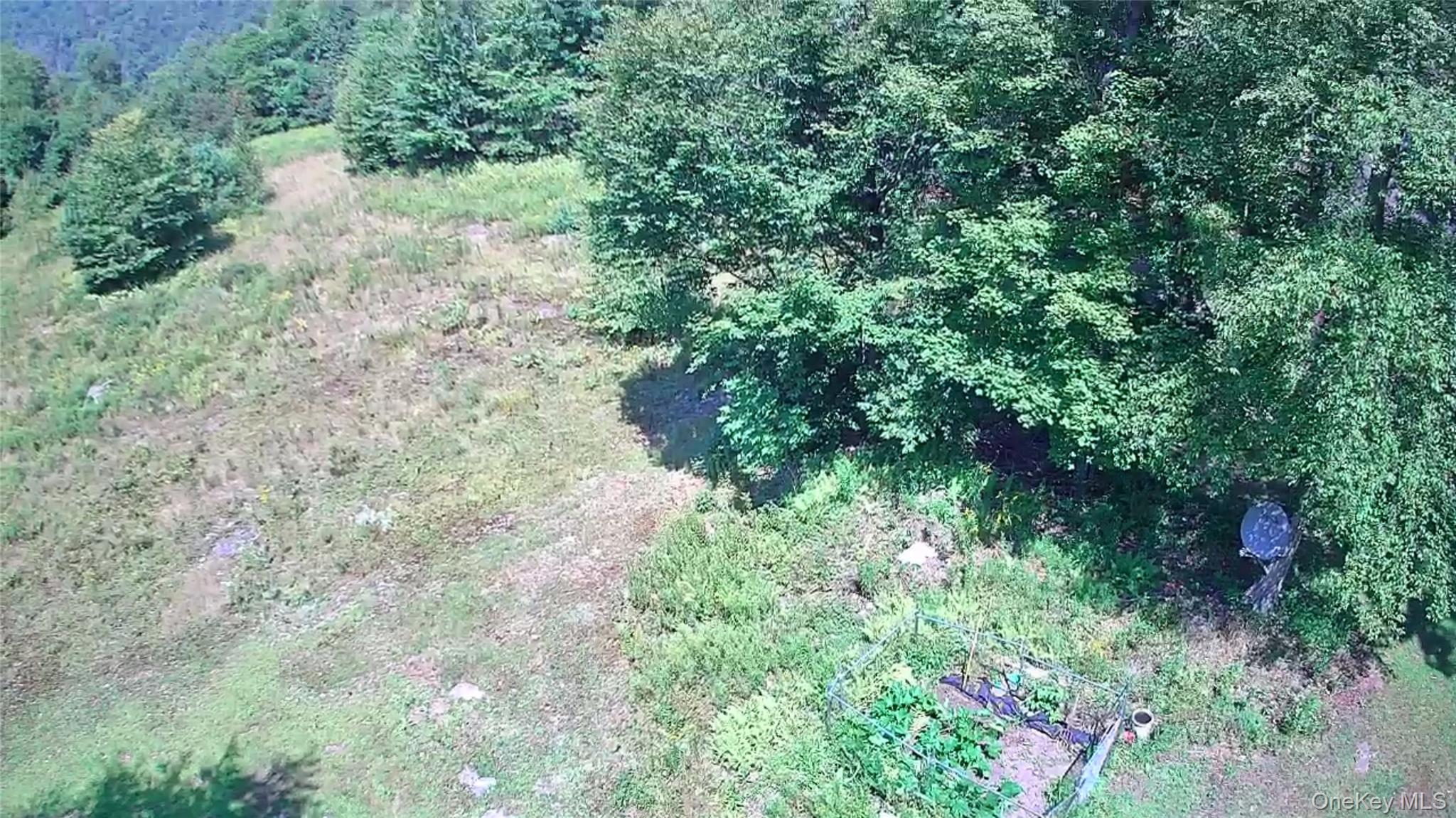 885 Grandview Road Hancock, NY 13783 - Photo 49 of 49 a view of a lush green forest with lawn chairs