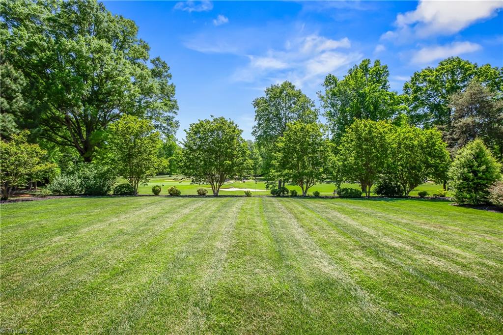 161 Bramble Way Summerfield, NC 27358 - Photo 43 of 50