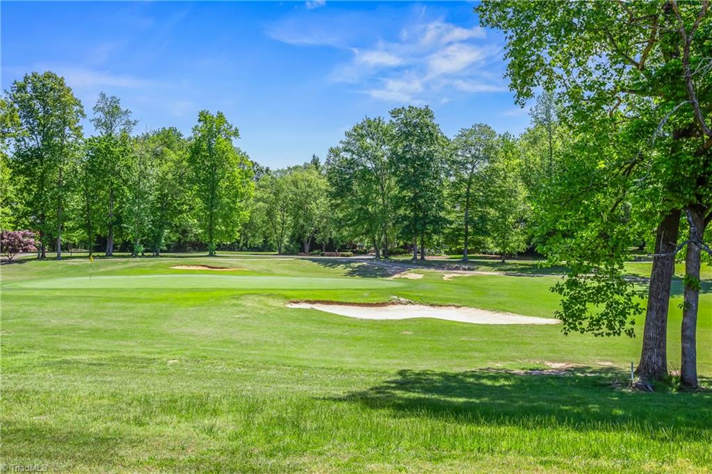 161 Bramble Way Summerfield, NC 27358 - Photo 44 of 50