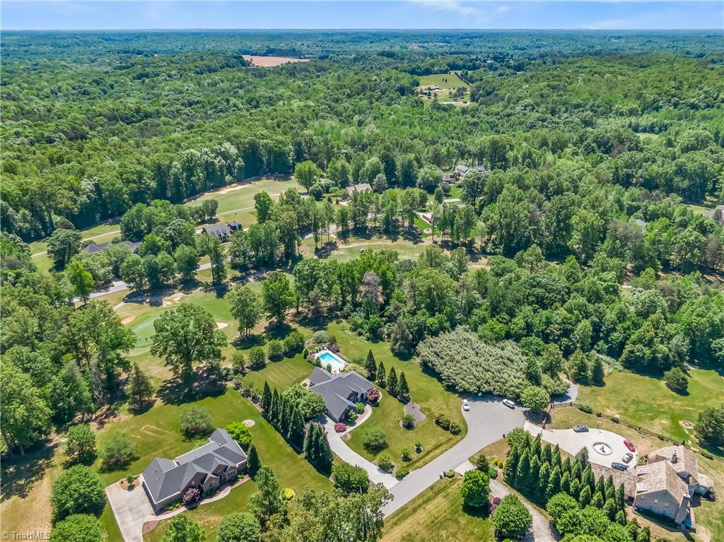 161 Bramble Way Summerfield, NC 27358 - Photo 47 of 50