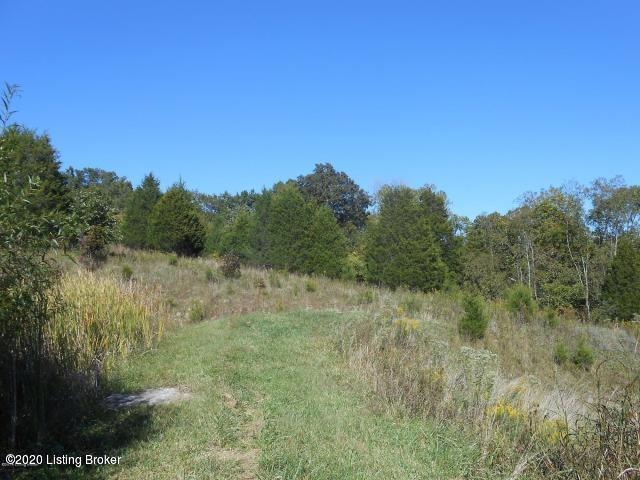 901 Goose Creek Road Bagdad, KY 40003 - Photo 27 of 28 3