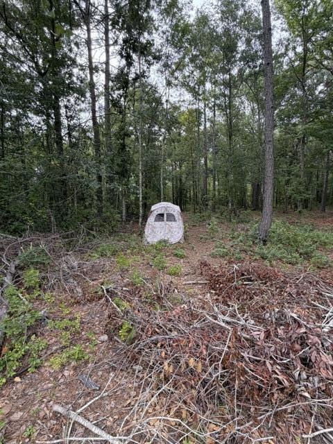 3649 Cox Road Sumter, SC 29154 - Photo 36 of 43 IMG_0246