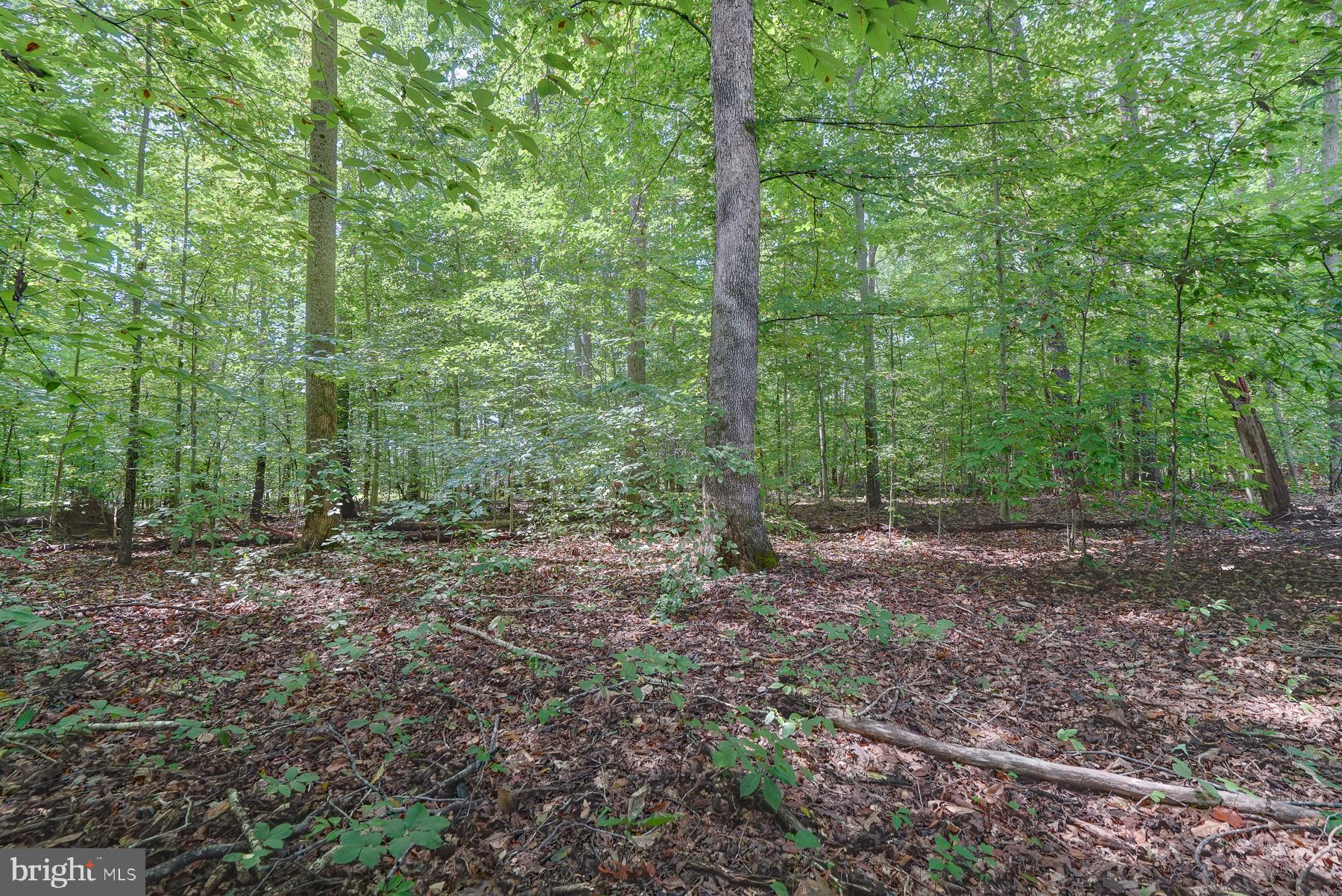 16533 Days Bridge Road Orange, VA 22960 - Photo 12 of 12 Gallery Image 12