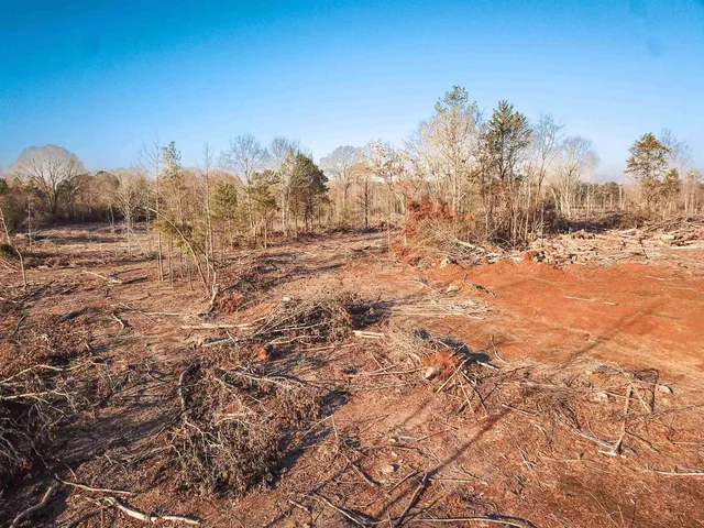 a view of a covered with snow in the background