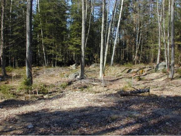 Lot 8 Cherry Valley Road Bethlehem, NH 03574 - Photo 1 of 1